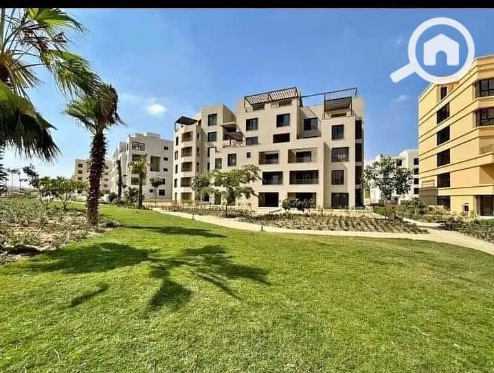 4 WhatsApp Image 2025-11-11 at 17.25. 12. jpeg