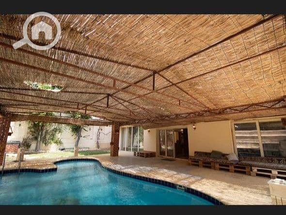 11 IMG-20251111-WA0020. jpg