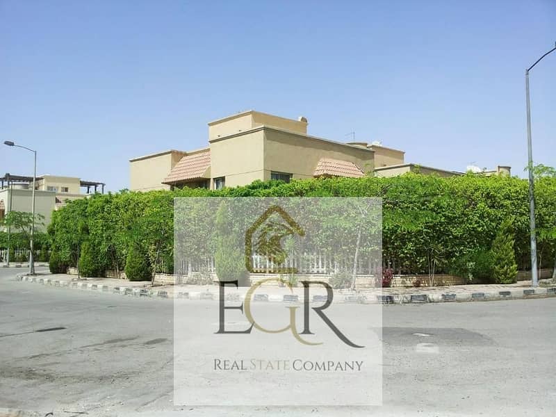 4 580741429_1194206192633809_1143799440809873744_n. jpg