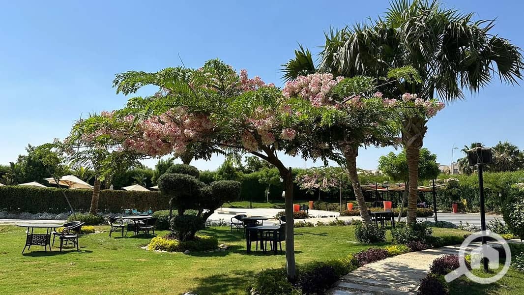 12 WhatsApp Image 2025-11-11 at 6.20. 47 PM (1). jpeg