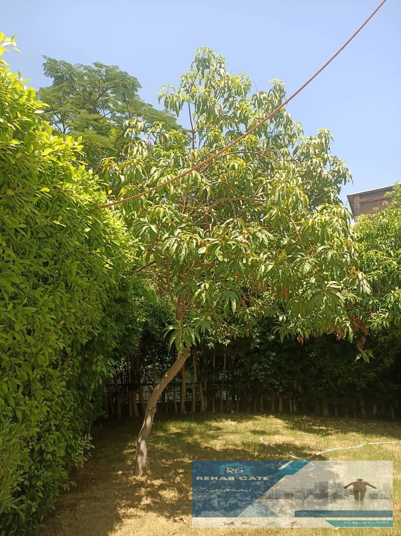 6 WhatsApp Image 2025-11-11 at 6.08. 38 PM. jpeg