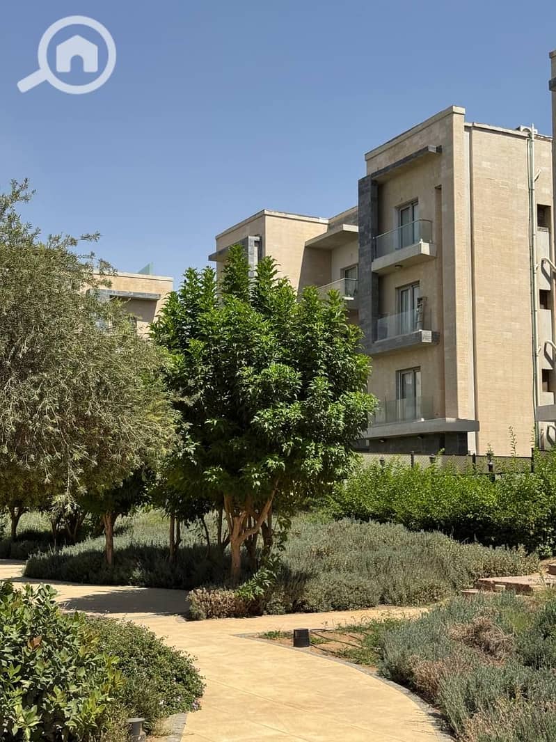 5 photo_2025-07-17_18-58-45. jpg