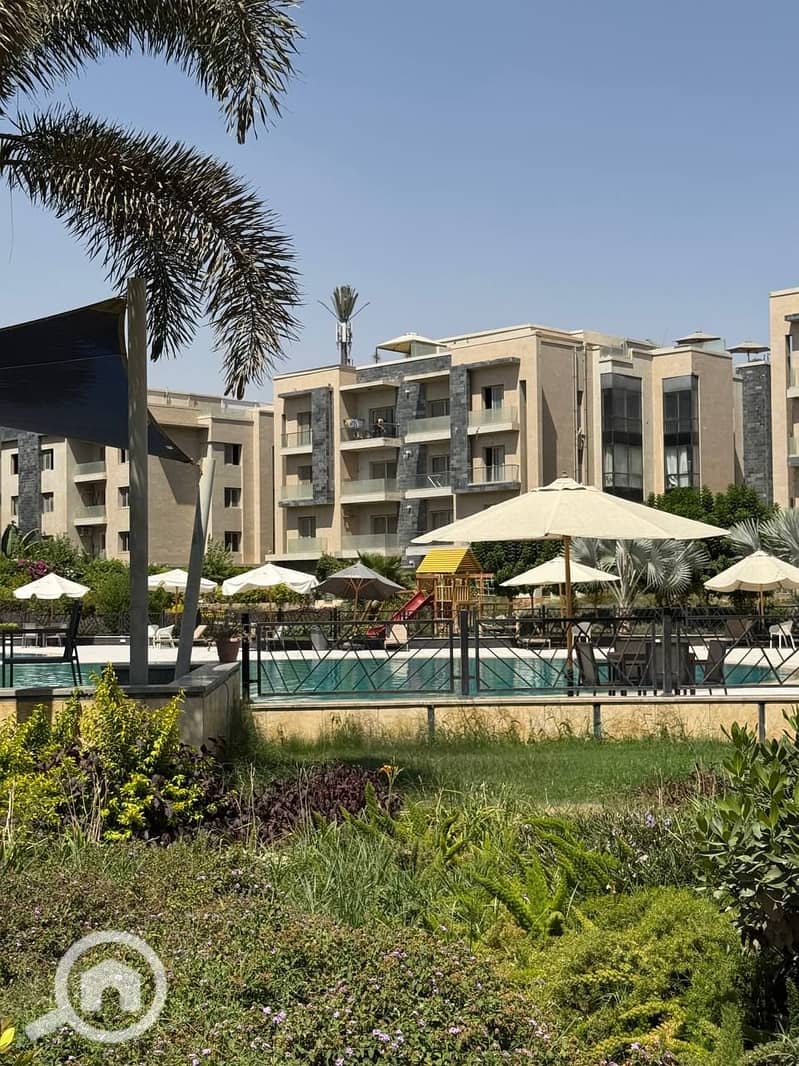 6 photo_2025-07-17_18-58-48. jpg