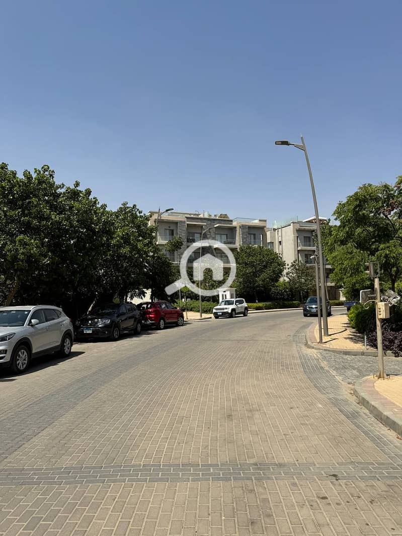 10 photo_2025-07-17_19-00-02. jpg