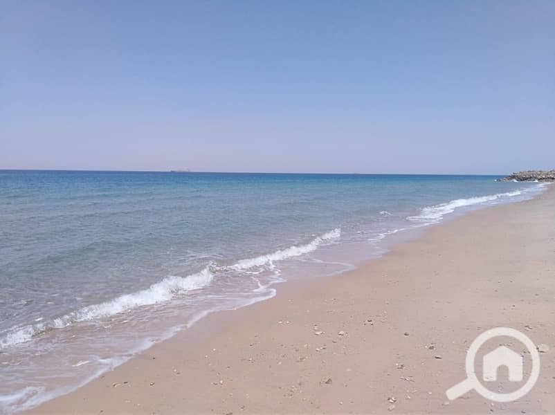 8 506892868_122115941258877090_3834891679927820649_n. jpg