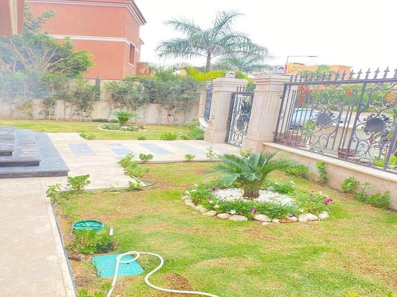 17 465954473_1129830138547492_7948850241000166460_n (1). jpg