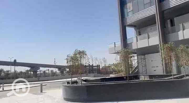 3 80c08309-e801-4dbb-8b9c-e5e786297ba6. jpg