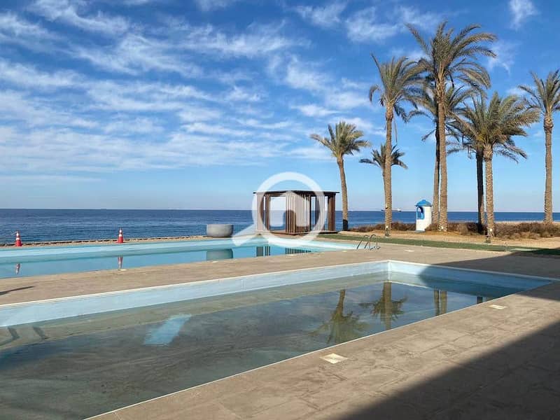 2 441169152_1654034025338507_404897528582175322_n. jpg