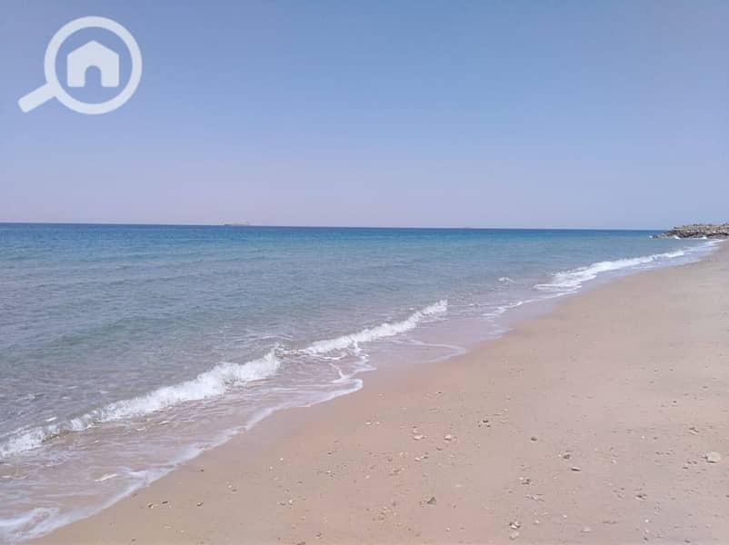 8 506892868_122115941258877090_3834891679927820649_n. jpg