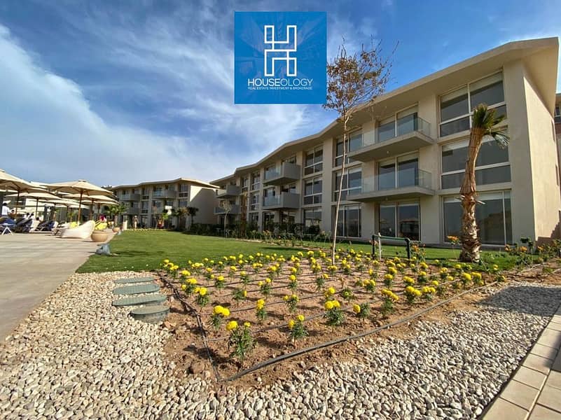 6 314398946_5616379451764946_2670020774023550559_n. jpg