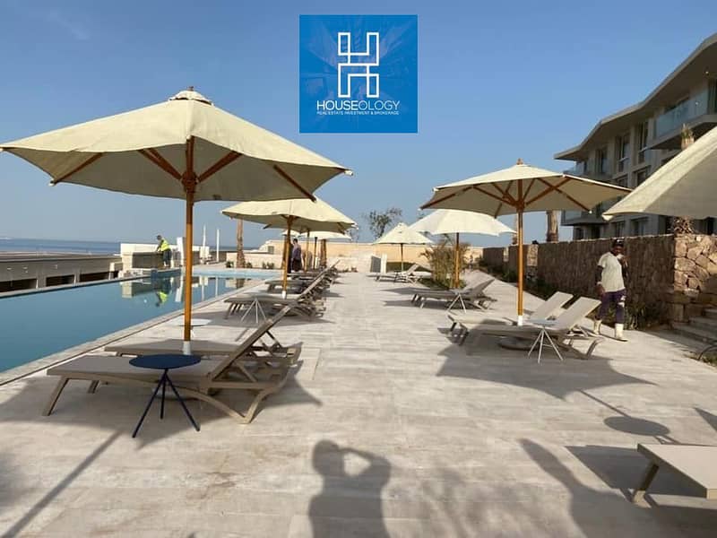 6 248815461_4752072531507068_4564815521894629327_n. jpg