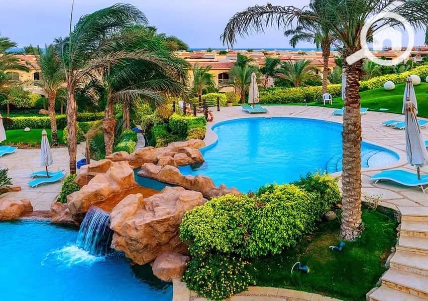 7 498312344_1131965348685480_1069629814721051368_n. jpg