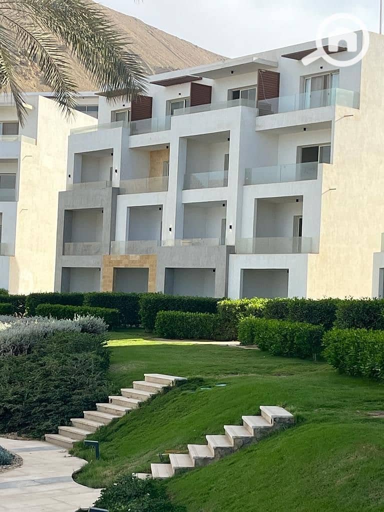 7 photo_2025-02-21_18-54-24. jpg