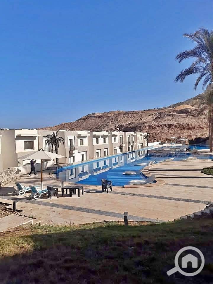 8 555932749_737557622648851_4911919963853056446_n. jpg