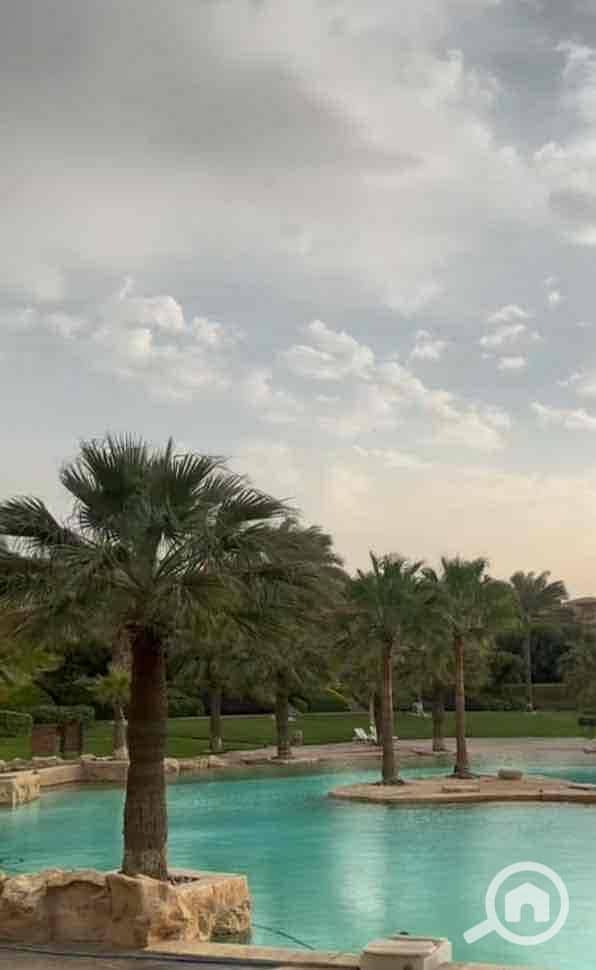 7 26e87948-83d2-419f-9aab-cf0cbf3a052c. jpg