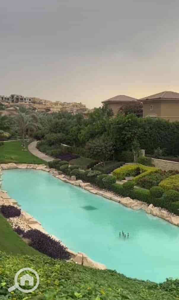 8 e6b2a6e9-c8b4-4768-886b-02b8016dd81b. jpg