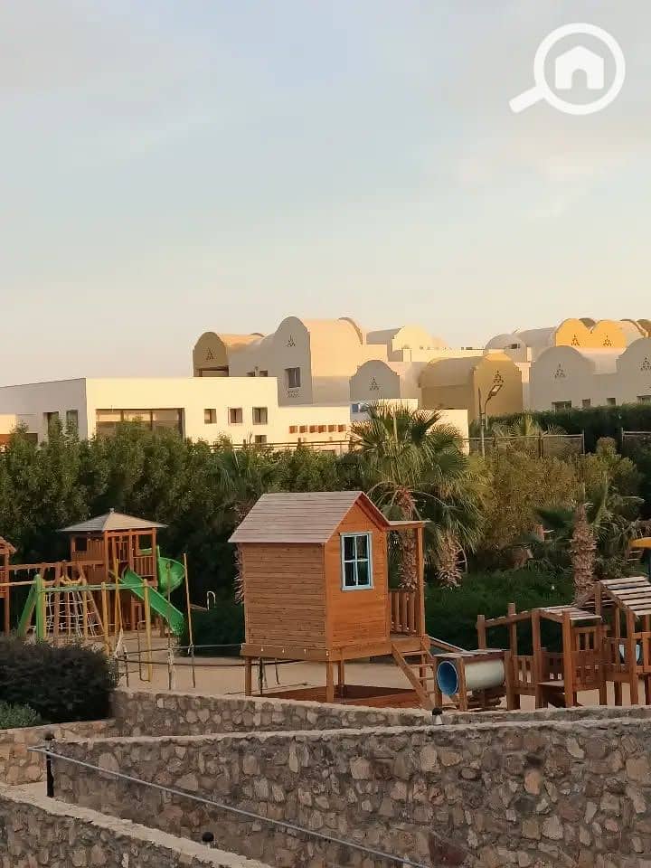 14 576477427_724290454024537_3585234933972930288_n. jpeg