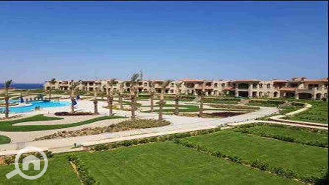 4 images - 2023-01-12T140802.741. jpg