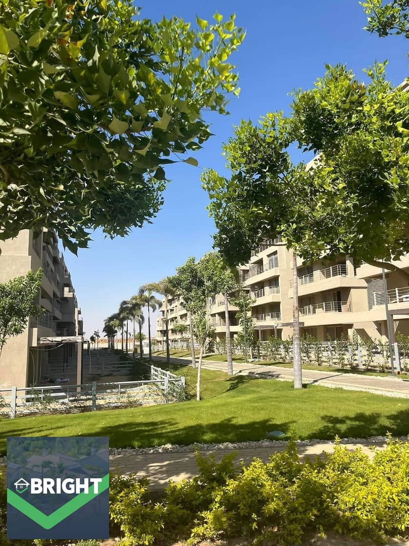 5 59cdbeb9-615a-47b8-9f33-6097b0074b17. jpeg