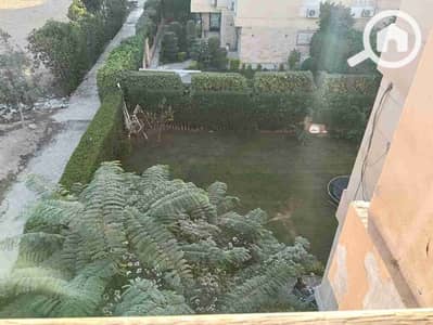 3 Bedroom Apartment for Rent in 6th of October, Giza - 1000068033. jpg 3 Bedroom Apartment for Rent in 6th of October, Giza - 1000068033. jpg