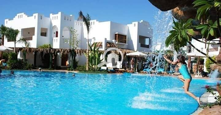 4 463481766_2851551891682932_461247053188347297_n. jpg