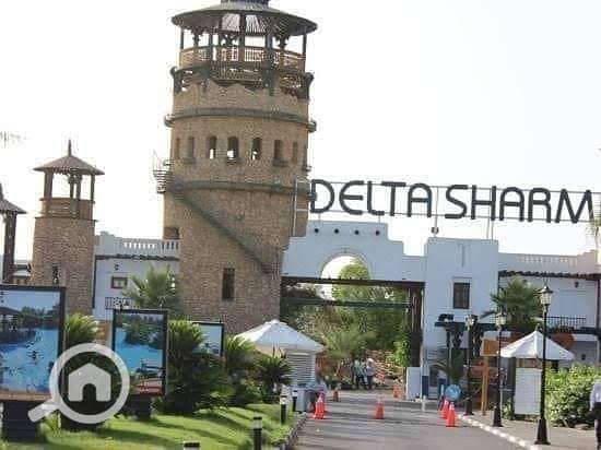 7 462921137_2851548118349976_1846142240033829859_n (1). jpg