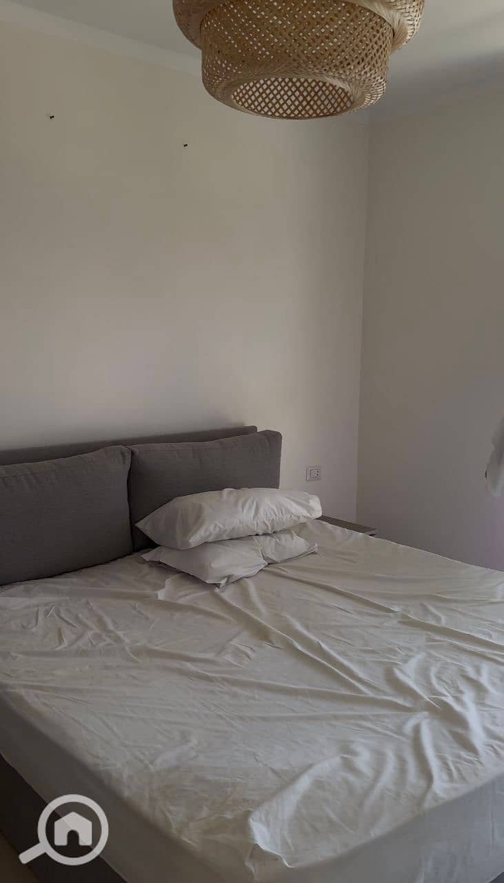 2 photo_2025-01-20_17-19-39. jpg