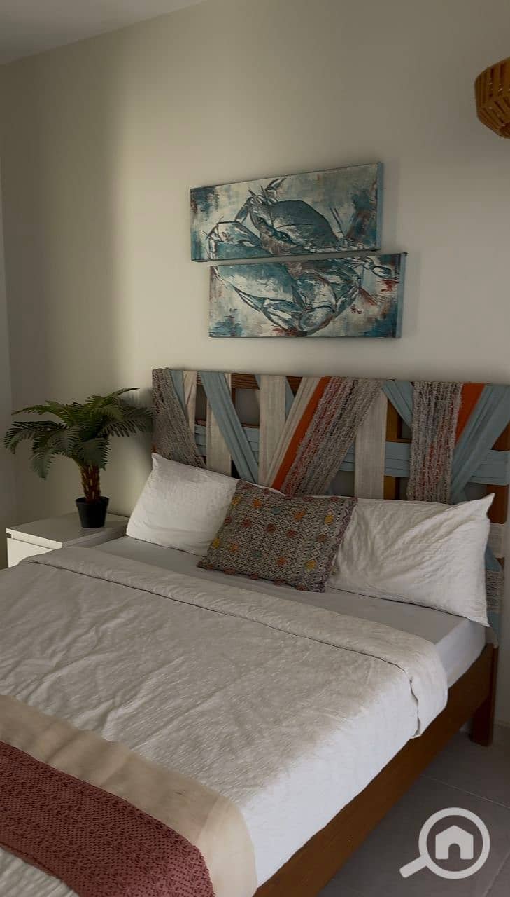 3 photo_2025-01-31_17-08-16. jpg