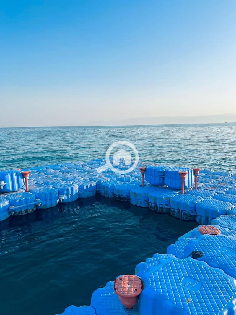 4 photo_2025-02-19_06-00-08. jpg