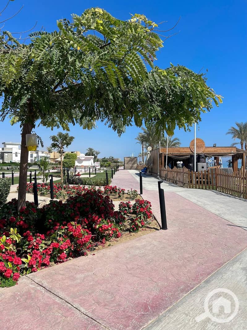 8 photo_2025-02-19_06-00-42. jpg