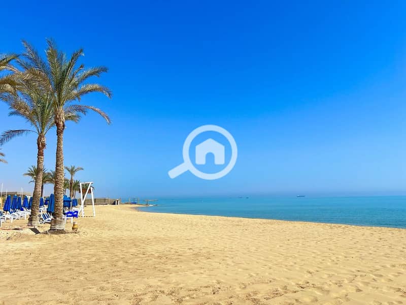 9 photo_2025-02-19_06-00-43. jpg