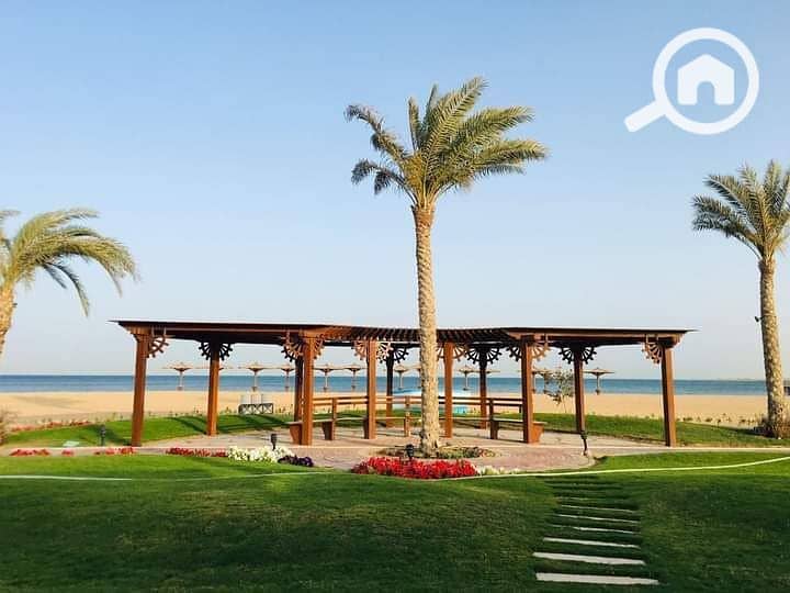 10 photo_2025-02-21_18-54-16. jpg