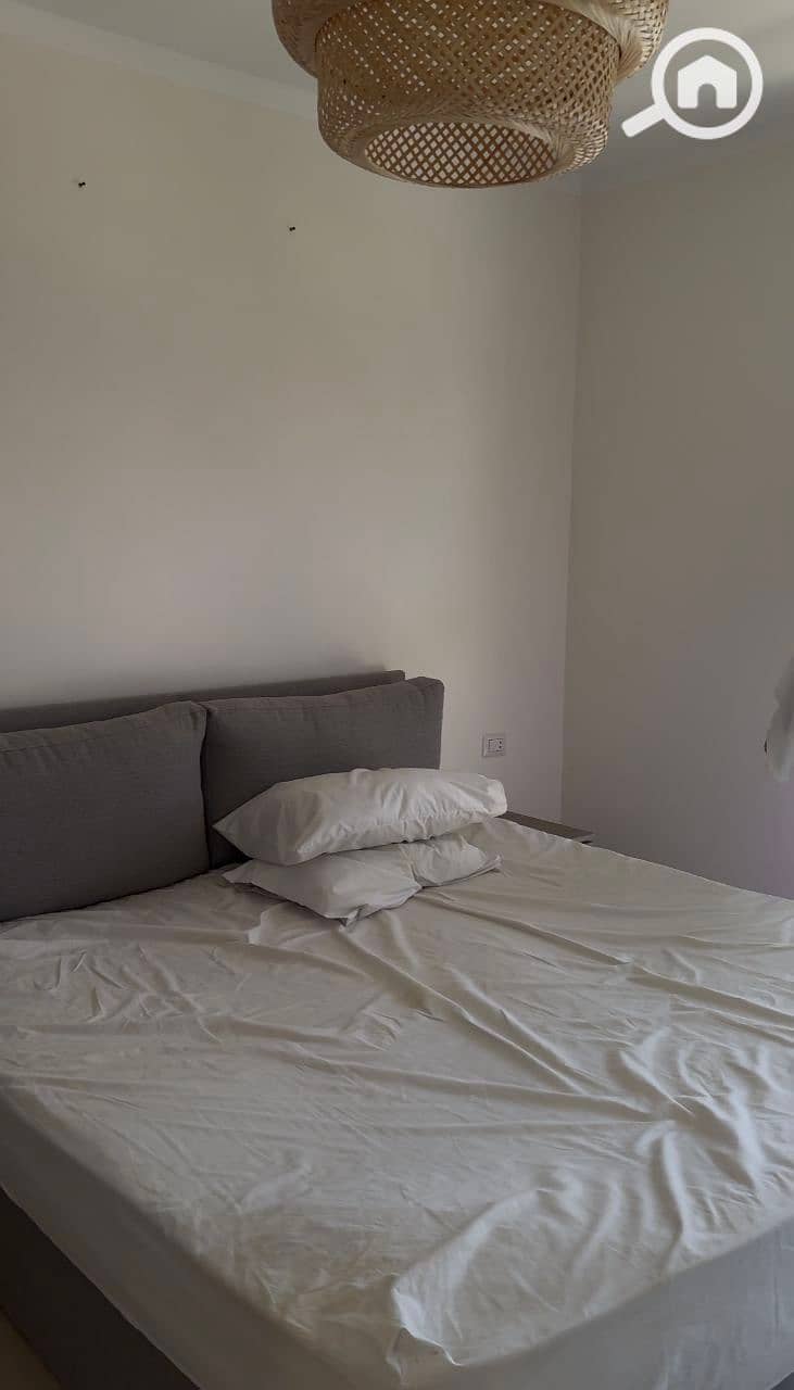 3 photo_2025-01-20_17-19-39. jpg