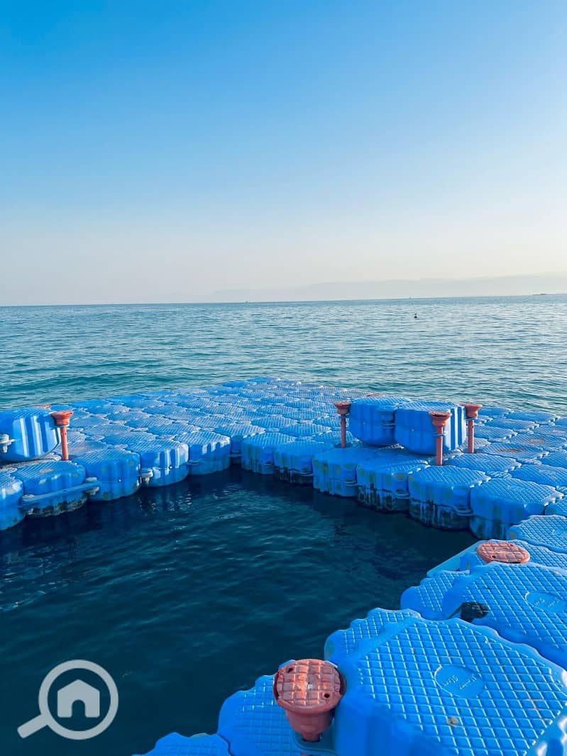 5 photo_2025-02-19_06-00-08. jpg