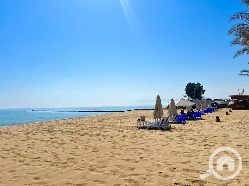 10 photo_2025-02-19_06-00-42 (2). jpg