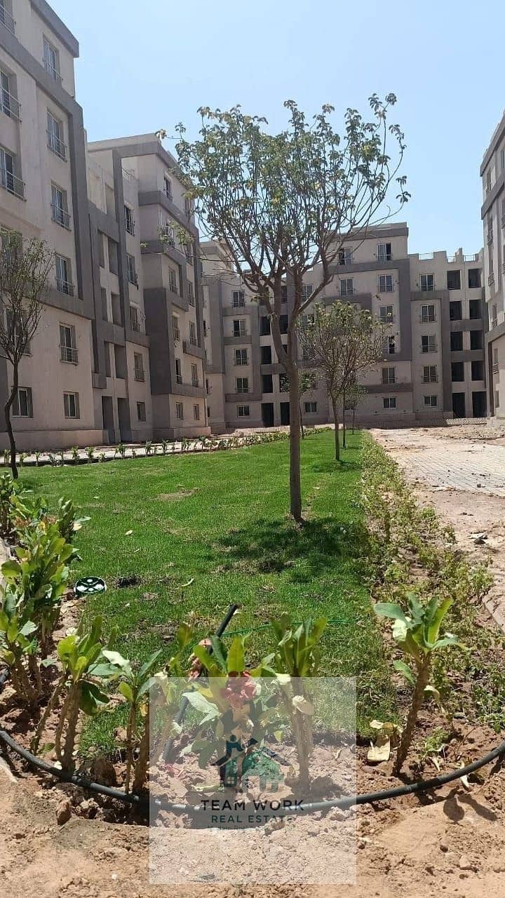 25 WhatsApp Image 2025-11-11 at 10.03. 55 PM (2). jpeg