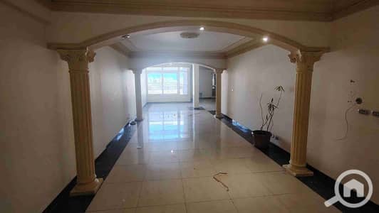5 Bedroom Apartment for Sale in Smoha, Alexandria - 1000353428. jpg