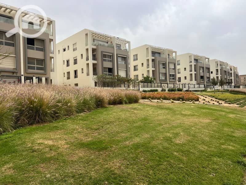 9 WhatsApp Image 2025-11-12 at 00.38. 29_7a86e990. jpg