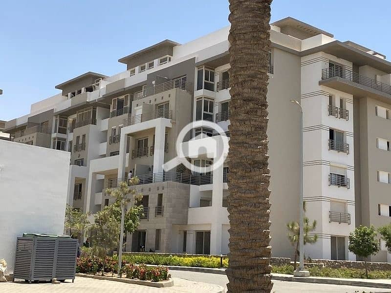 12 WhatsApp Image 2025-11-12 at 00.38. 25_85d75577. jpg