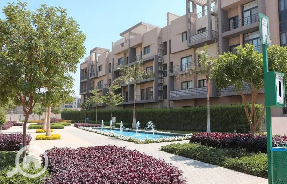 2 436316569_7312155918913638_1442635652505019673_n. jpg