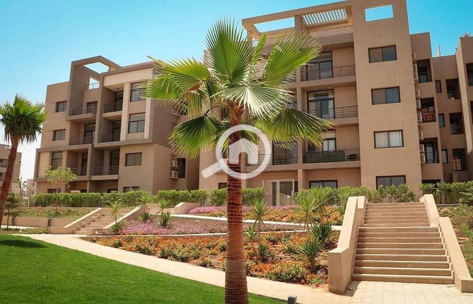 4 441174523_843035380978908_6107279134482533191_n. jpg