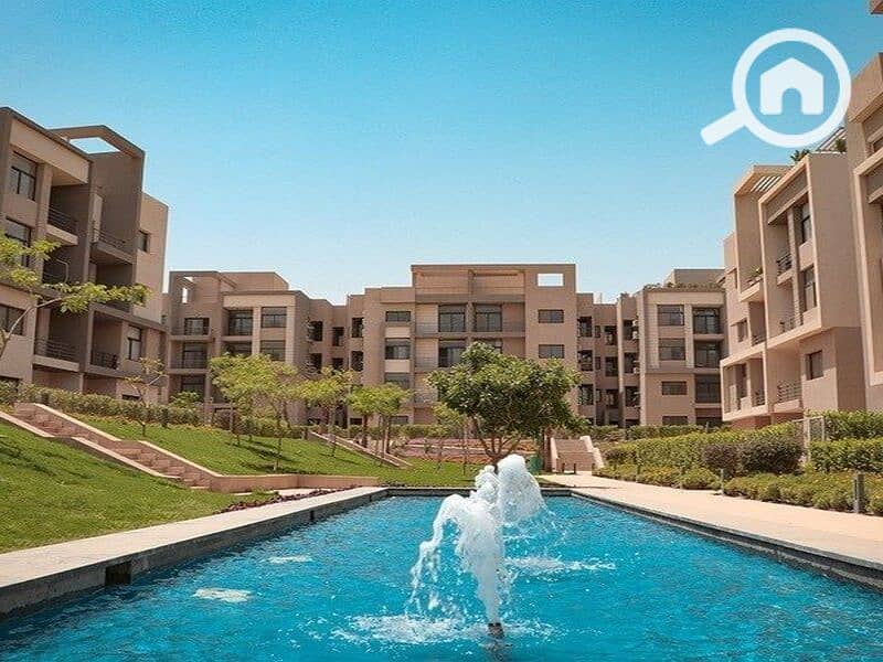 10 337556277_3433095670281821_3788033574558951024_n. jpg