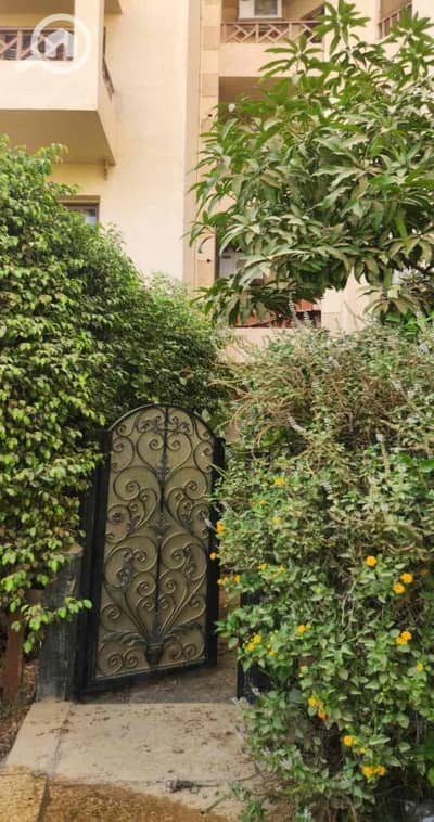 شقة 1 غرفة نوم للايجار في القاهرة الجديدة، القاهرة - 7e6a11f2-ae58-4598-a304-2f29934531ce. jpg