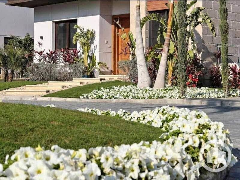 4 563535667_829524956396259_6763562653379335180_n. jpg