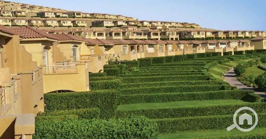 12 579950172_693972120018753_2613771769290358293_n. jpg