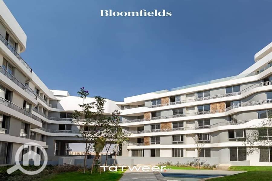 6 IMG-20251112-WA0033. jpg