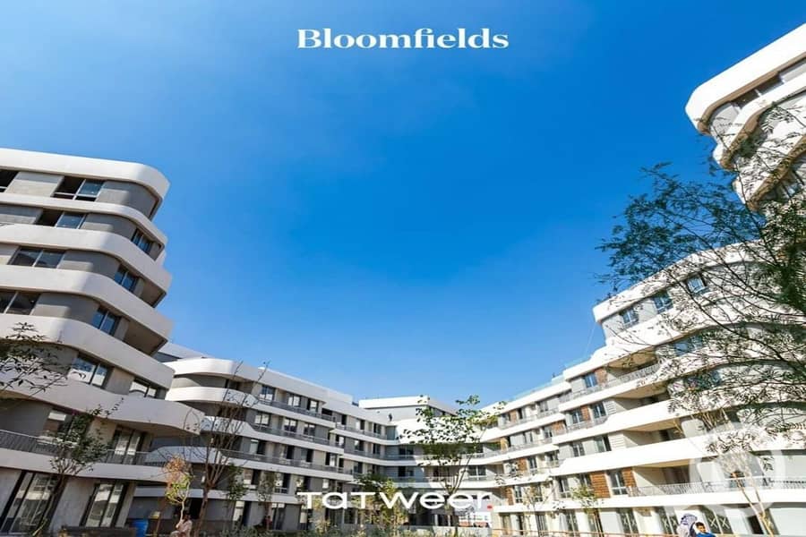 7 IMG-20251112-WA0036. jpg