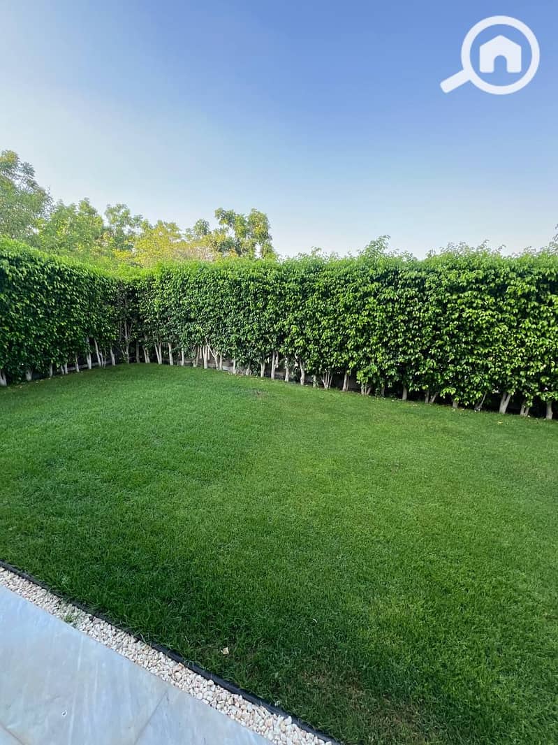 8 photo_2025-07-14_23-04-47. jpg