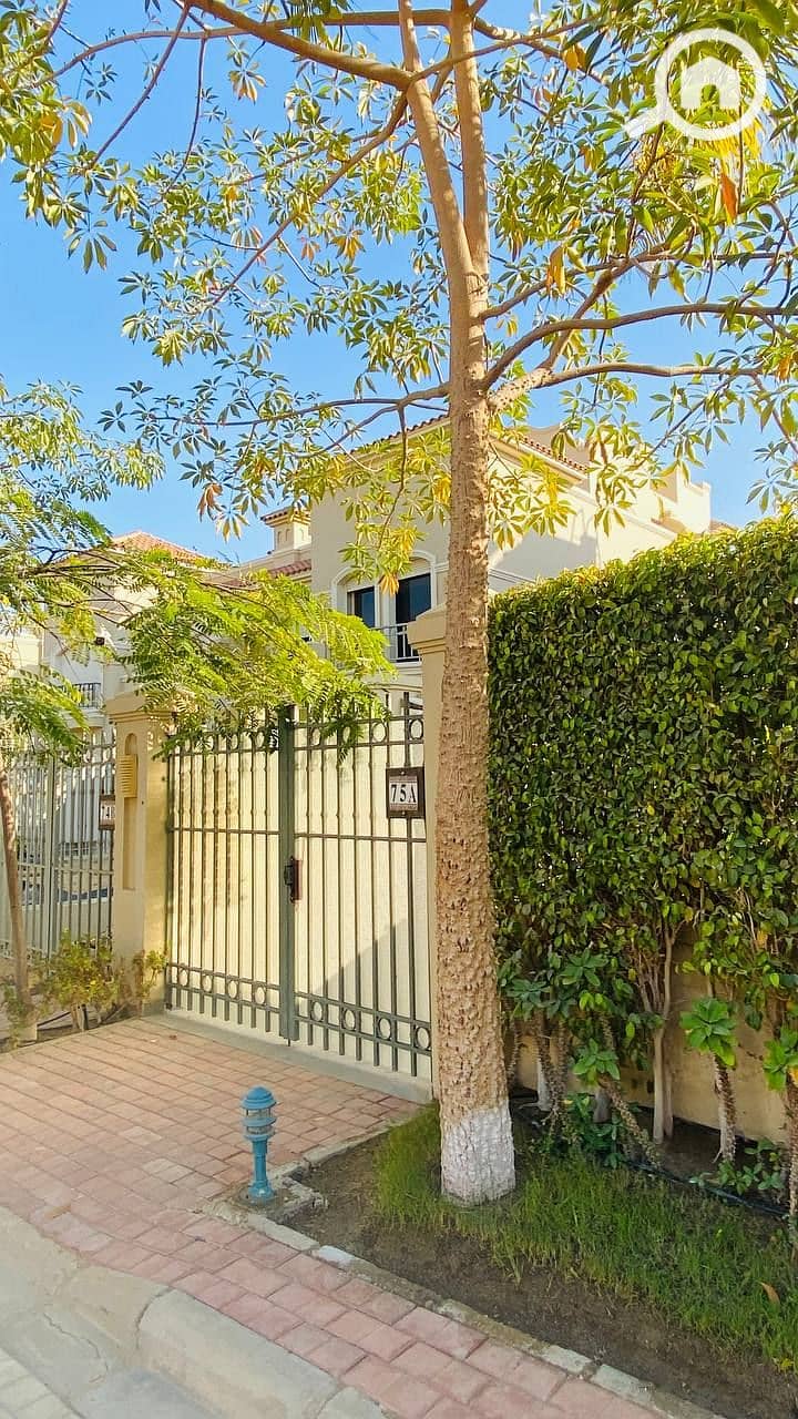 3 photo_2023-12-06_21-25-04. jpg