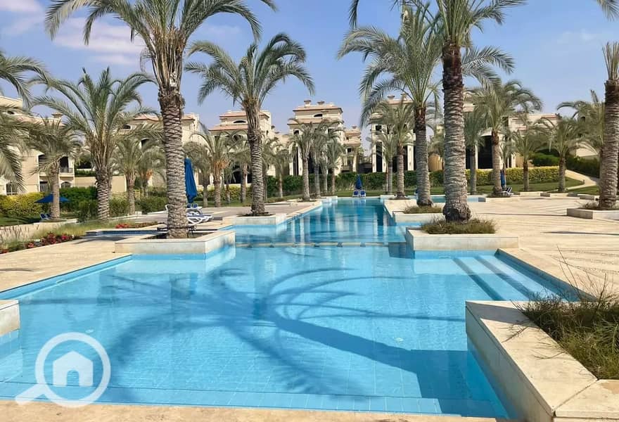 10 e9863537-4c61-4848-9a4f-ec6a7d74c01a. jpg